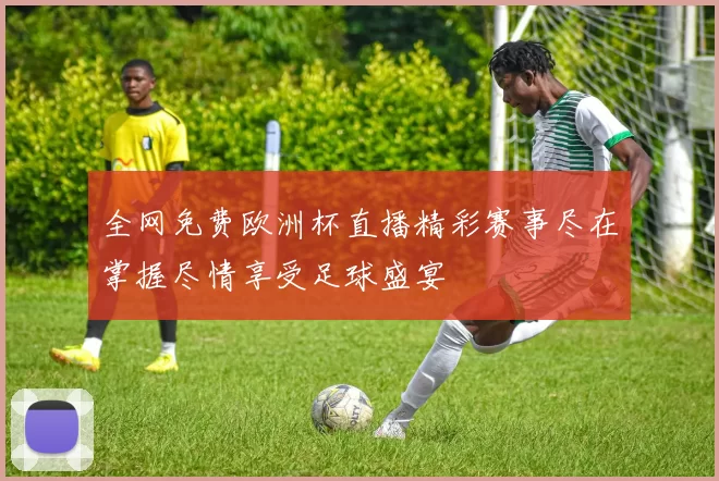 全网免费欧洲杯直播精彩赛事尽在掌握尽情享受足球盛宴