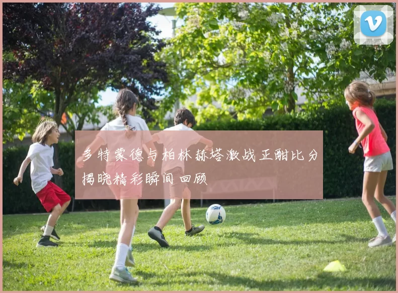 多特蒙德与柏林赫塔激战正酣比分揭晓精彩瞬间回顾